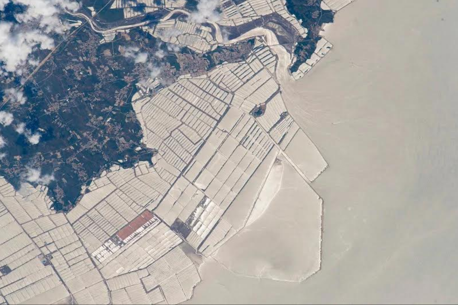 Marine incursion: Study finds 0.5% of world's ocean floors now affected ...