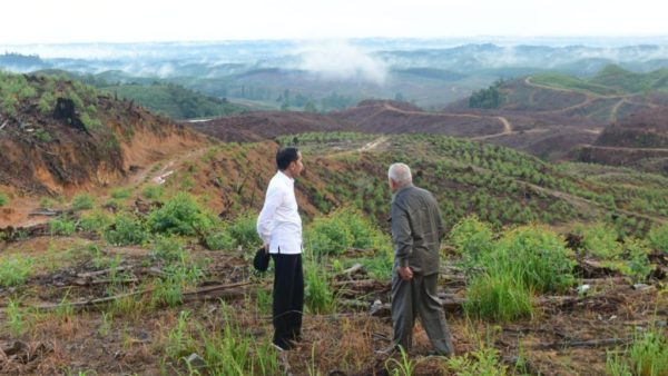 Indonesian president Joko Widodo visiting the location of the future capital
