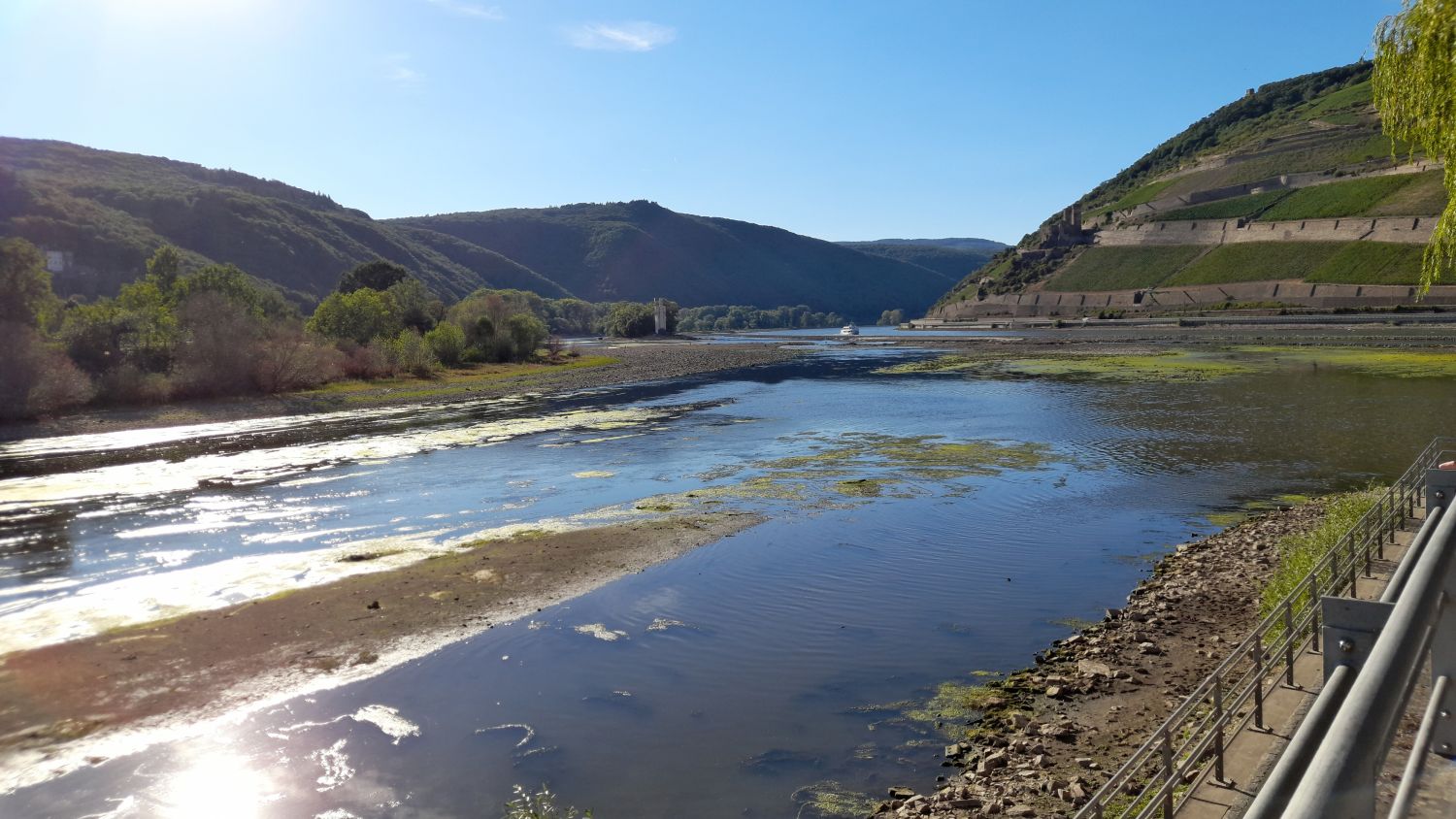 Low water near the Rhine estuary amid continued drought conditions, August 2022 (Hejnjahns/CC BY-SA 4.0