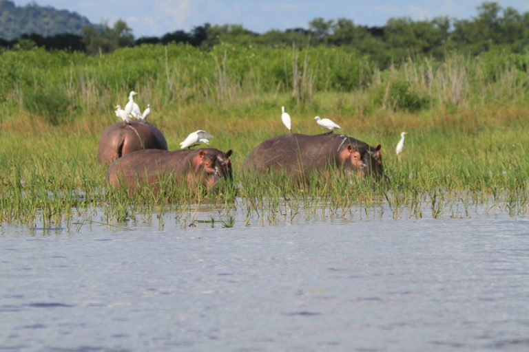 Malawi to double generating capacity with $1bn dam PPP Malawi to double generating capacity with $1bn dam PPP