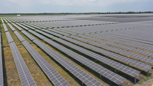 Cutlass Solar Farm (Bechtel)