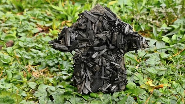 Biochar (Empa)