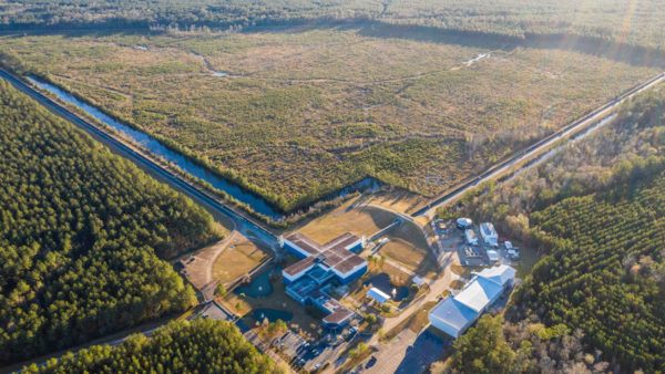 An aerial view of the LIGO detector in Livingston, Louisiana (Christian Offenberg/Dreamstime)