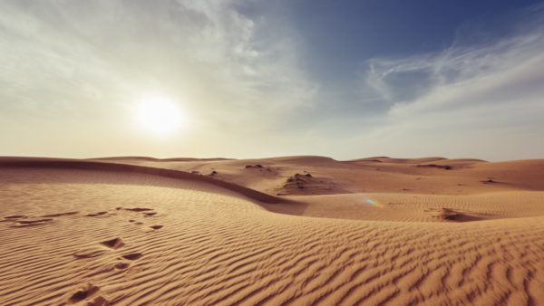 In all, the Neom solar parks will cover 420 sq km (Giorgio Parravicini/Unsplash)