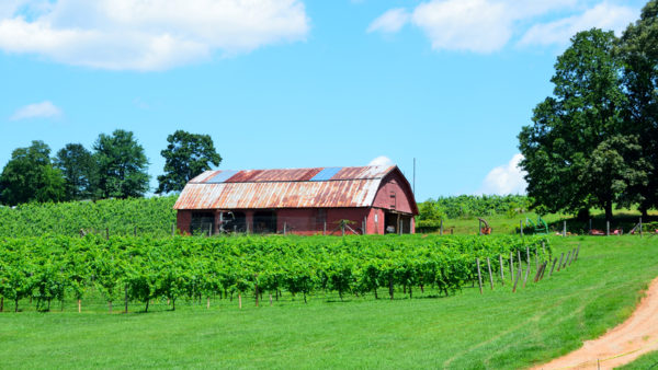 Countryside in Georgia, US (Paul Brennan/Dreamstime)