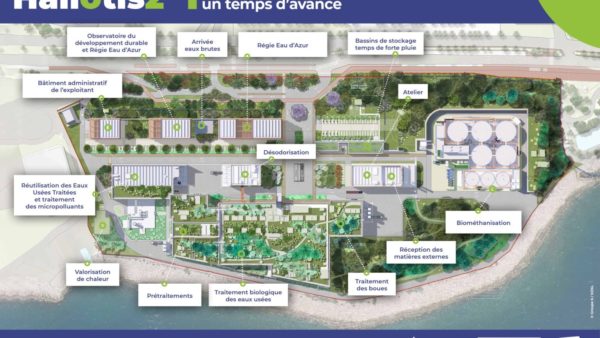 Suez Group’s diagram of the Haliotis 2 site