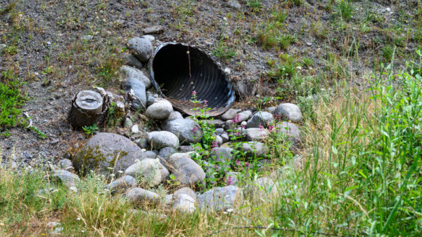 A pipe in Mount Rainier National Park, Washington State (Kim Nelson/Dreamstime)