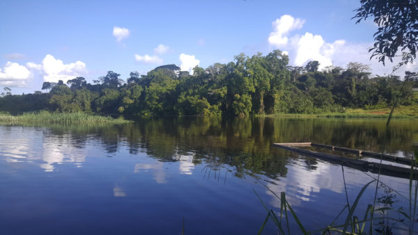 The Campo River at border between Cameroon and Gabon (TravelTelly/Dreamstime)