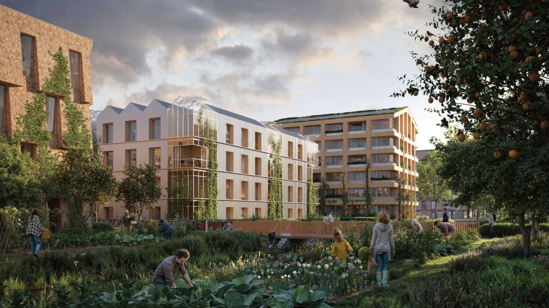 Timber neighbourhood planned outside Amsterdam